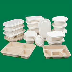 Caja de comida ecológica degradable